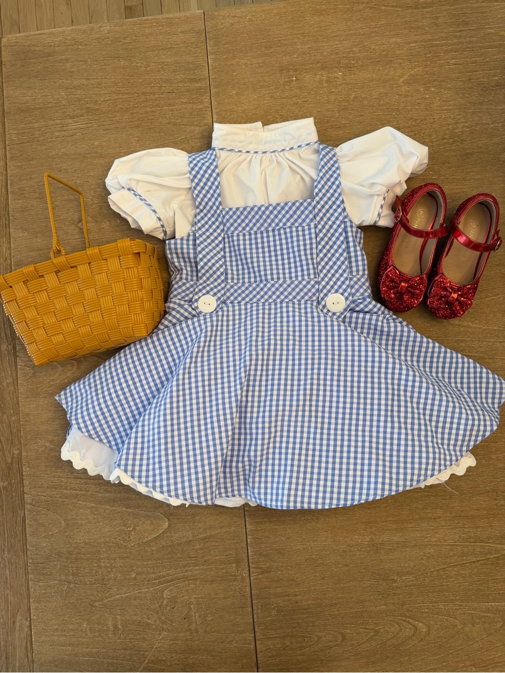Handmade Dorothy Costume Toddler Girl 2T— Wizard of Oz Complete Set, Red Shoes